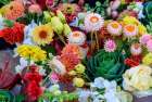 USA, Indiana, Fishers. Fresh flowers on display at market. Art Print
